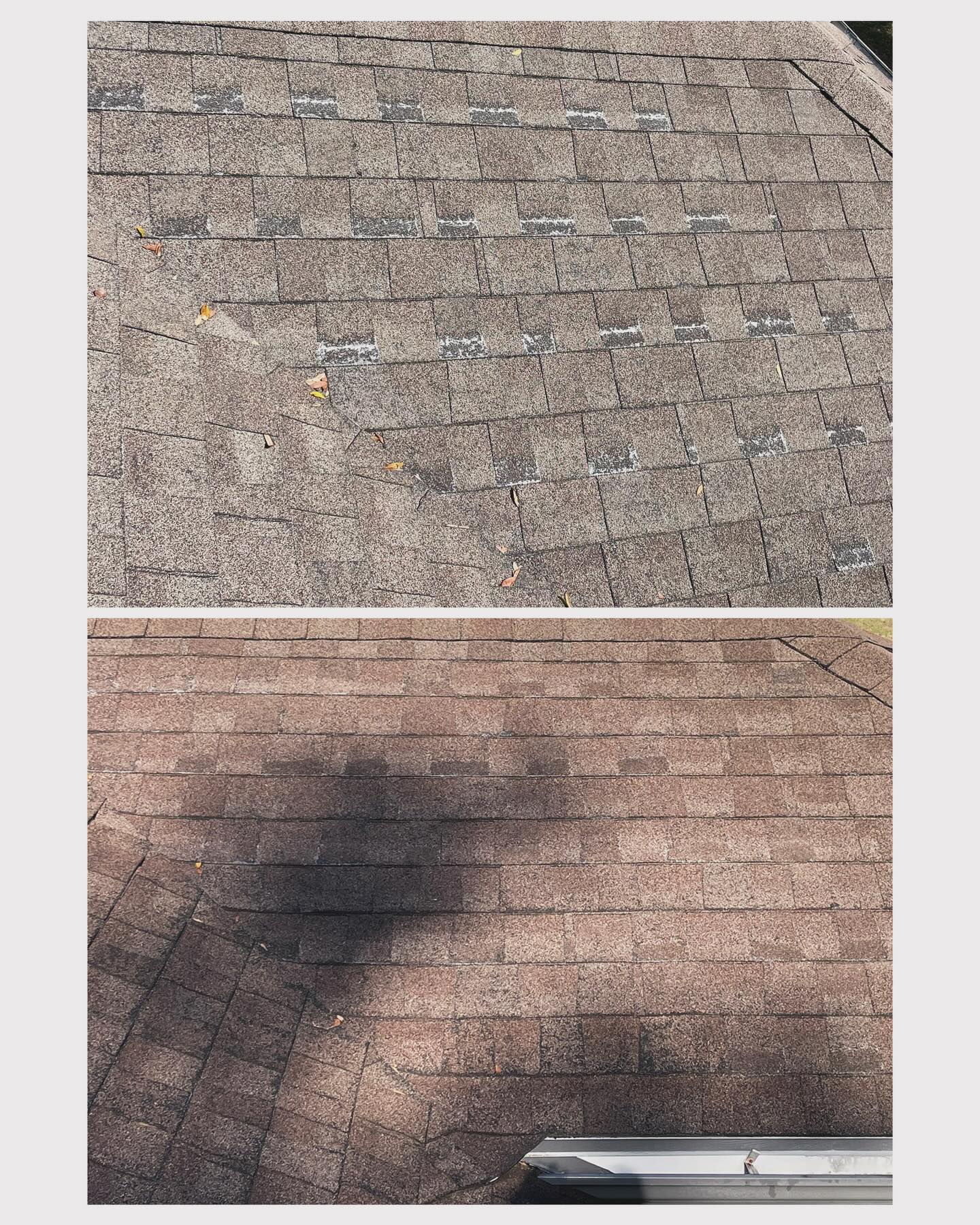 Close-up view of shingle surface showing the difference between cleaned and uncleaned areas