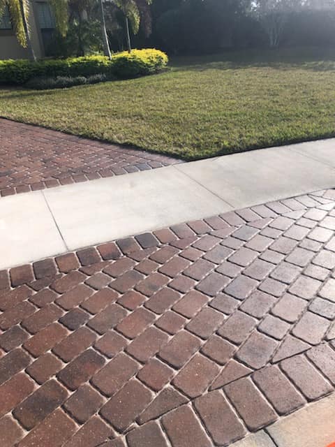 Detailed Report & Recommendation